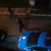 Dois homens morrem em confronto com a PM no Santa Izabel em Barra Mansa