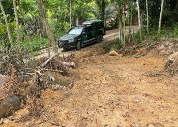 Denúncias sobre crimes ambientais aumentaram 40% em Paraty em 2022
