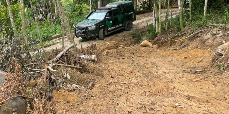 Denúncias sobre crimes ambientais aumentaram 40% em Paraty em 2022
