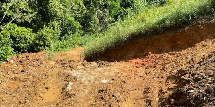 PM constata crime ambiental no Corumbê em Paraty