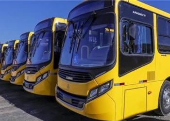 Por que não falar de ônibus grátis?