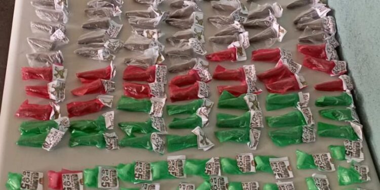 PM encontra 212 pinos de cocaína em área de mata no Morro da Conquista