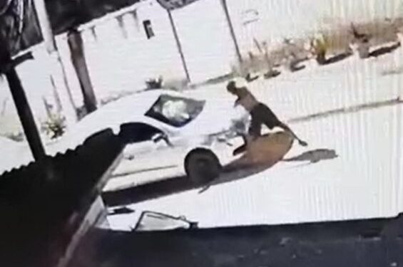 Vídeos: traficantes são presos após depredar carro e ameaçar casal em Barra do Piraí