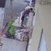 Câmeras flagram homem furtando portão de alumínio em Barra Mansa