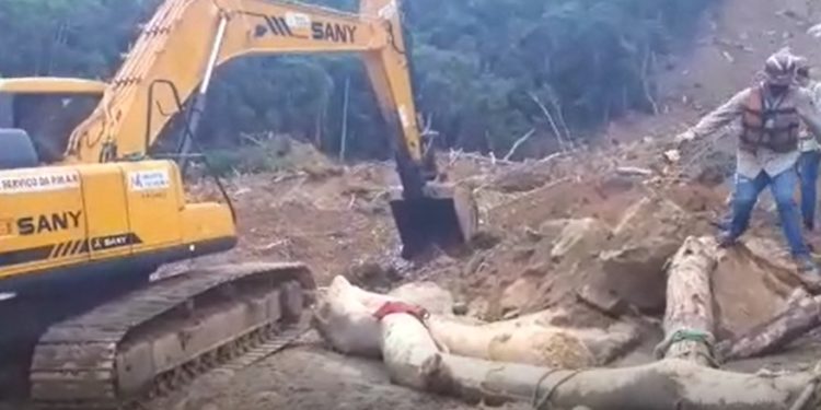 Ilha Grande: escavadeira começa os trabalhos na Praia de Itaguaçu