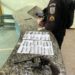 Menores são apreendidos com arma e drogas na Vila Maria