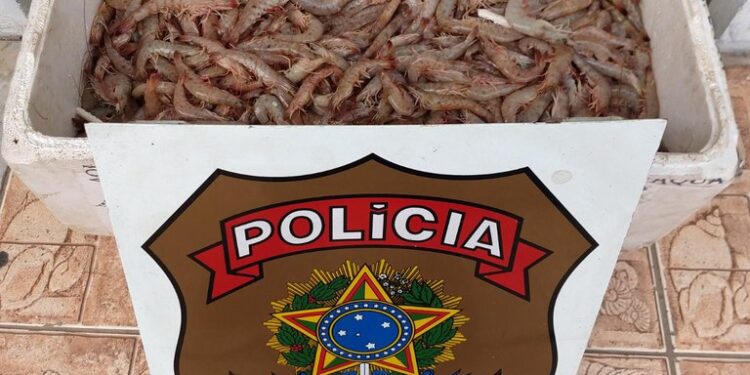 PF prende duas pessoas por pesca ilegal em Angra dos Reis