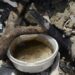 Casos de dengue crescem 177% no estado do Rio em 2022