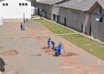 Cedae inicia construção de viveiro florestal em penitenciária de Resende