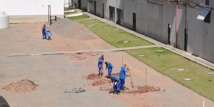 Cedae inicia construção de viveiro florestal em penitenciária de Resende