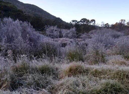 Parque Nacional do Itatiaia registra -7,6°C e tem a temperatura mais baixa do ano no Brasil