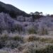 Parque Nacional do Itatiaia registra -7,6°C e tem a temperatura mais baixa do ano no Brasil