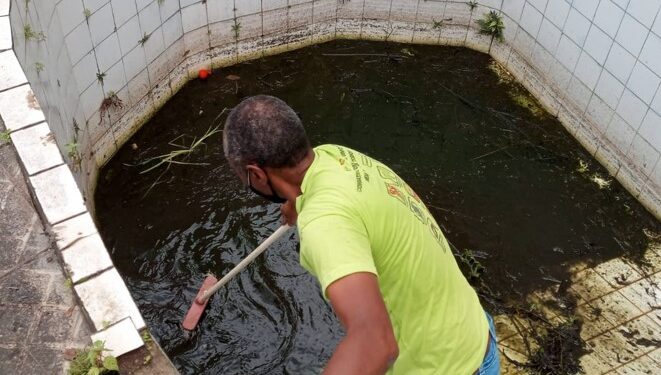 Volta Redonda alerta para risco de infestação do mosquito da dengue