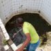 Volta Redonda alerta para risco de infestação do mosquito da dengue