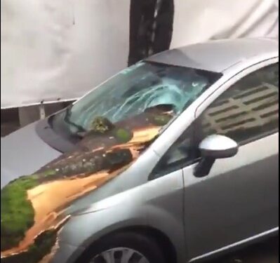Vídeo impressionante; Temporal provoca estragos em Três Rios