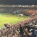 Vasco vence o CSA com show da torcida em São Januário