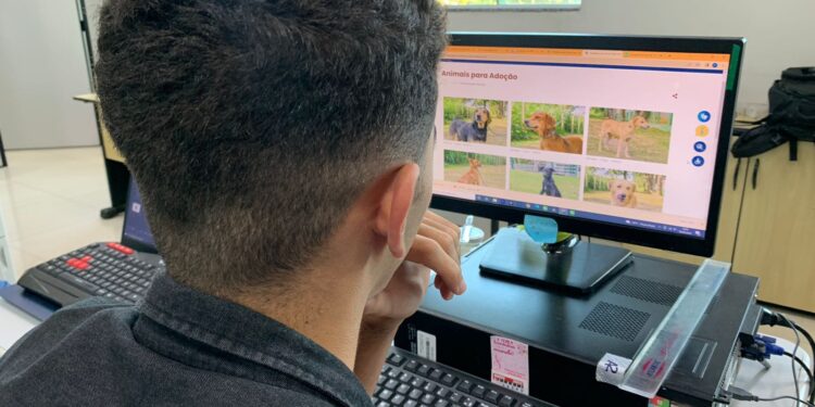 Animais para adoção recebem destaque em site da Prefeitura de Porto Real
