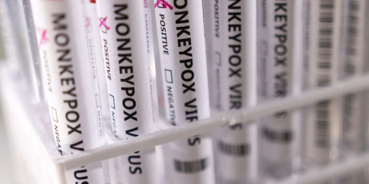 Brasil tem 17 casos confirmados para a varíola dos macacos