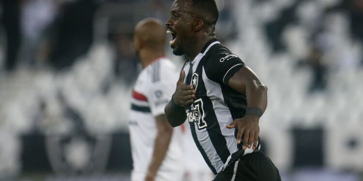Botafogo vence São Paulo e deixa Z4 do Brasileirão