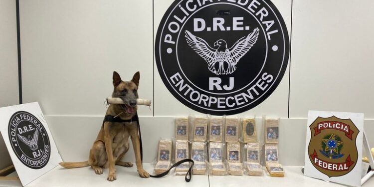 Dois homens são presos com 20 kg de pasta base de cocaína em Piraí