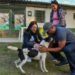 Cachorro encontrado em Porto Real percorreu 210 km de distância