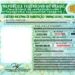 Carteira Nacional de Habilitação tem novo modelo a partir de hoje