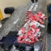Megaoperação resulta na prisão de 5 pessoas em Angra e Paraty