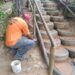 Viveiro de mudas do Parque do Ingá recebe melhorias em Volta Redonda