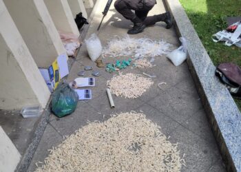 PM apreende mais de 3,5 mil pinos de cocaína em Resende