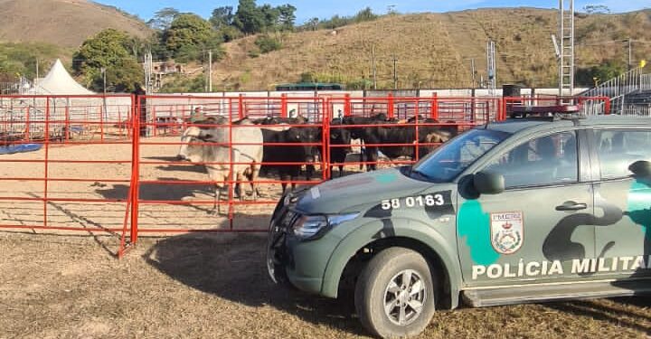 Evento tem caso de maus-tratos contra animais em BM