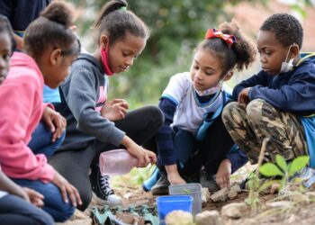 Hábitos Saudáveis: Escola Socioambiental de Barra Mansa é semifinalista em premiação