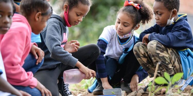 Hábitos Saudáveis: Escola Socioambiental de Barra Mansa é semifinalista em premiação