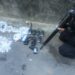 Tiroteio entre PMs e traficantes termina com um preso em Angra dos Reis