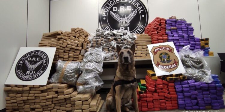 PF apreende 890 kg de maconha em Itatiaia