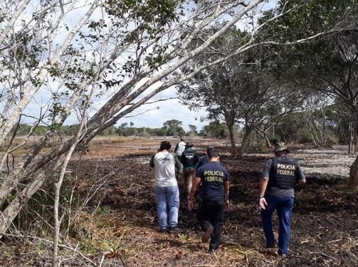 PF e ICMBio flagram desmatamento na Restinga de Jurubatiba