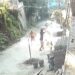 Justiça decreta prisão preventiva de acusado de matar cachorro a pauladas em Mangaratiba