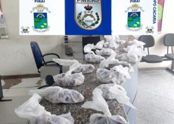 Piraí: mulher é presa com mais de 500 pinos cocaína em ônibus na Dutra