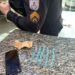 Menor de 16 anos é apreendido com 25 pinos de cocaína no Nova Esperança