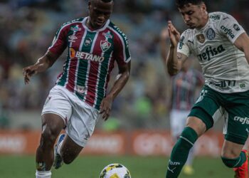 Brasileiro: Palmeiras sai na frente com golaço, mas Flu empata em casa