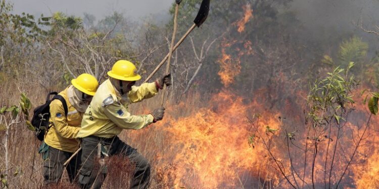 Defesa Civil apresenta medidas de autoproteção em casos de incêndios florestais