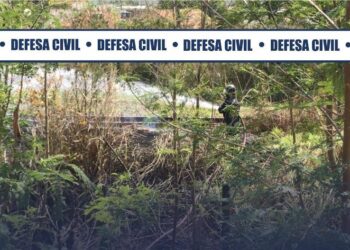 Defesa Civil de Porto Real combate incêndio no bairro São José