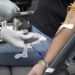 Sangue: uma doação pode salvar até quatro vidas