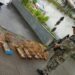Polícia Ambiental apreende pássaros silvestres em cativeiro em Pinheiral