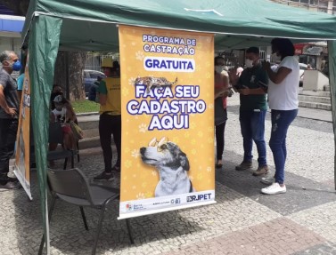 Castração: Barra Mansa cadastra cães e gatos nesta quinta, sexta e sábado