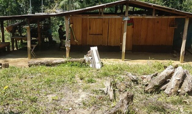 PF destrói rancho de caçadores na Serra da Bocaina em Paraty