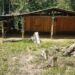 PF destrói rancho de caçadores na Serra da Bocaina em Paraty