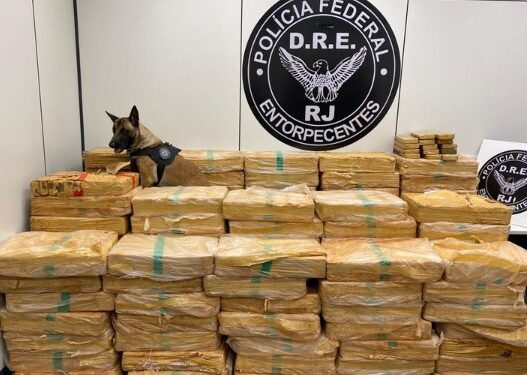 PF prende homem transportando 1,8t de maconha em Piraí
