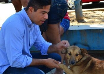 Barra do Piraí é referência em bem-estar animal, afirma Mario Esteves