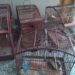 Disque Denúncia auxilia no resgate de pássaros em Paulo de Frontin