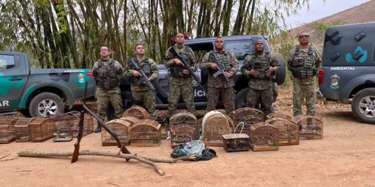 Dois homens são presos com 35 aves silvestres e armas de fogo em Rio das Flores